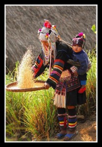 205232_412790852092130_1310008114_n