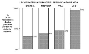 composición de la leche materna en el segundo año